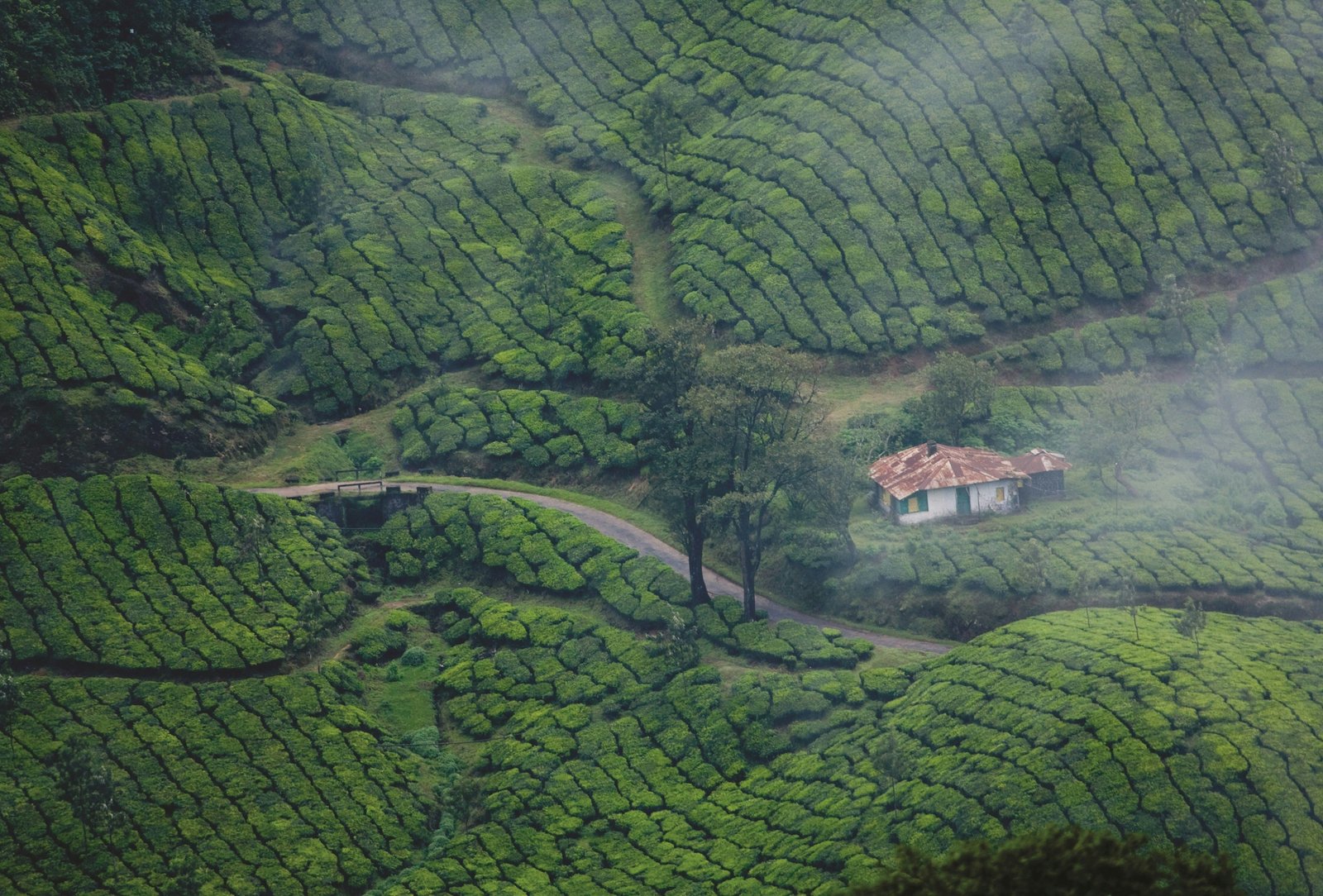Coorg